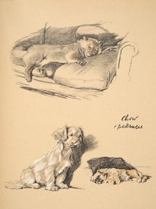 Chow et Pékinois, 1930, Illustrations de son carnet de croquis utilisé pour 